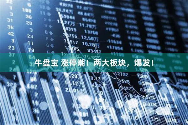 牛盘宝 涨停潮！两大板块，爆发！