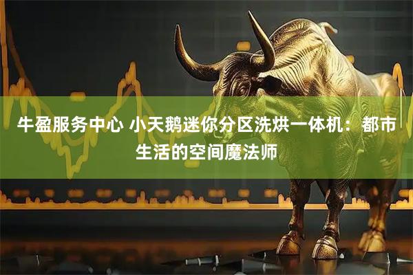 牛盈服务中心 小天鹅迷你分区洗烘一体机：都市生活的空间魔法师
