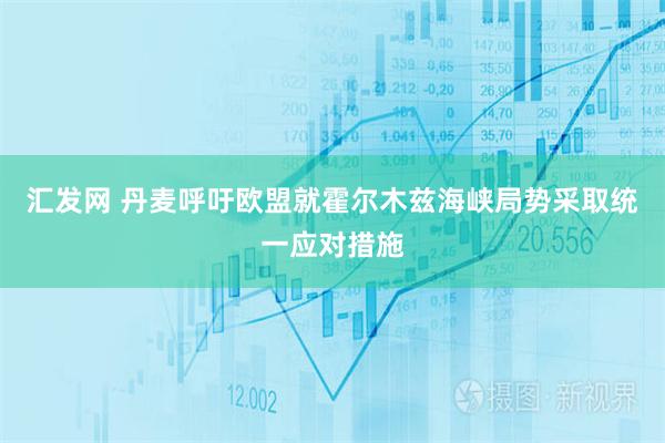 汇发网 丹麦呼吁欧盟就霍尔木兹海峡局势采取统一应对措施