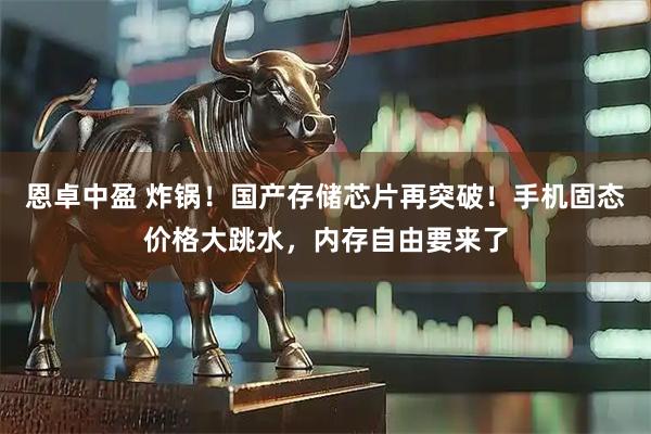恩卓中盈 炸锅！国产存储芯片再突破！手机固态价格大跳水，内存自由要来了