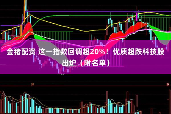 金猪配资 这一指数回调超20%！优质超跌科技股出炉（附名单）