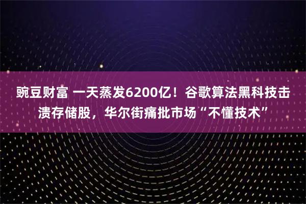 豌豆财富 一天蒸发6200亿！谷歌算法黑科技击溃存储股，华尔街痛批市场“不懂技术”