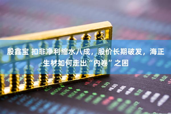 股鑫宝 扣非净利缩水八成，股价长期破发，海正生材如何走出“内卷”之困