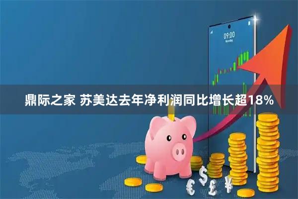 鼎际之家 苏美达去年净利润同比增长超18%