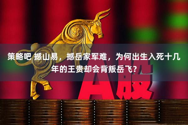 策略吧 撼山易，撼岳家军难，为何出生入死十几年的王贵却会背叛岳飞？