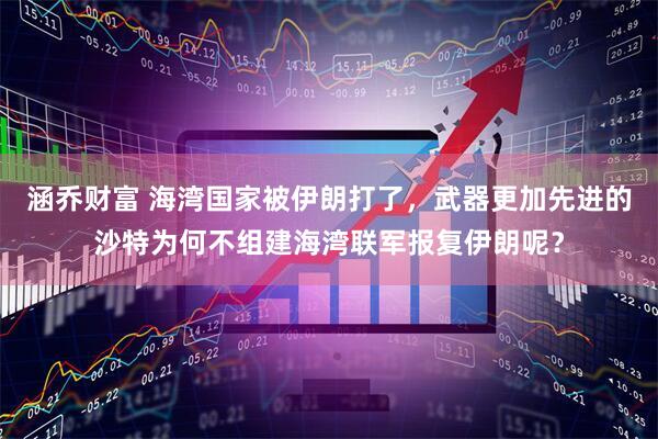 涵乔财富 海湾国家被伊朗打了，武器更加先进的沙特为何不组建海湾联军报复伊朗呢？